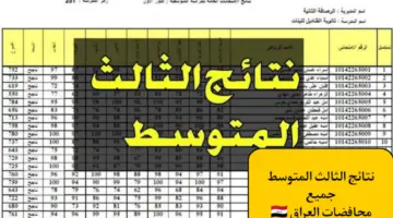 وزارة التعليم العراقية تعلن نتائج الصف الثالث متوسط نينوي والكرخ والرصافة وبابل والبصرة وجميع المحافظات الدور التمهيدي 2024