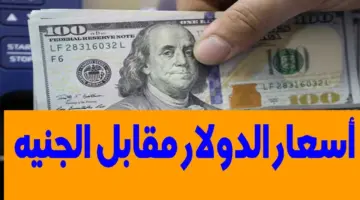 ما هو سعر الدولار مقابل الجنيه المصري اليوم في البنوك المصرية؟