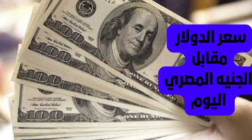 ” استقرار نسبي” سعر الدولار اليوم مقابل الجنيه المصري الأحد 26 مايو 2024