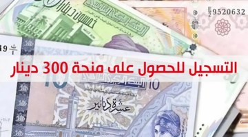 “بخطوات بسيطة” التسجيل في منحة 300 دينار تونس 2024