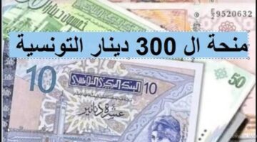 موعد صرف منحة تونس 300 دينار وخطوات التسجيل والشروط المطلوبة