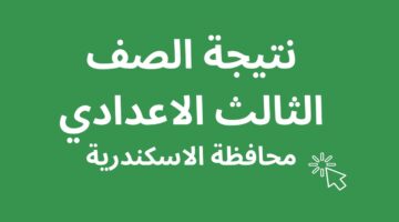 نتيجة الصف الثالث الإعدادي برقم الجلوس 2024 محافظة الإسكندرية وباقي المحافظات