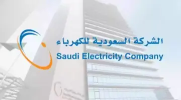2000 ريال سعودي تعويض انقطاع الكهرباء يومين لكل مواطن في شرورة