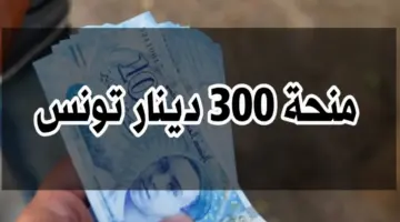 “سارع بالتسجيل”.. منحة 300 دينار لعام 2024 تونس هي آخر مستجدات وزارة الشؤون الاجتماعية