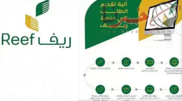 خطوات وشروط التقديم في دعم ريف بالسعودية 2024