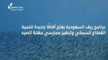 50000 ريال…شروط الحصول على دعم صغار صيادي الأسماك الممارسين ريف السعودية