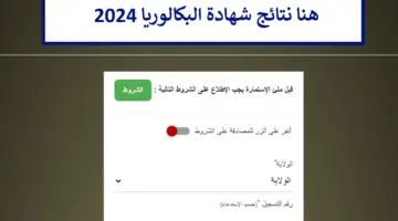 هنا نتائج شهادة البكالوريا 2024 bac.onec.dz الجزائر رابط موقع الديوان الوطني للامتحانات والمسابقات