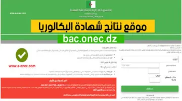 أقترب ظهورها.. رابط نتائج البكالوريا في الجزائر 2024 عبر الموقع الرسمي الديوان الوطني bem.onec.dz