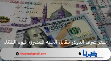 سعر صرف الدولار مقابل الجنيه المصري اليوم الثلاثاء 23 يوليو 2024