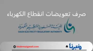 الهيئة السعودية لتنظيم الكهرباء.. تعلن صرف تعويضات انقطاع الكهرباء بمحافظة شرورة