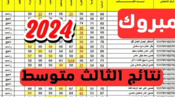 مبروك النجاح.. لينك نتائج الثالث متوسط 2024 محافظة الكرخ 1 الدور الأول PDF نتائجنا