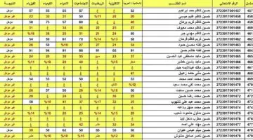 رابط وخطوات الحصول على نتائج السادس الاعدادي pdf الدور الأول عموم المحافظات العراقية