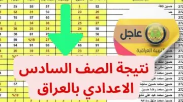 وزارة التربية العراقية نتائج السادس اعدادي 2024 موقع نتائجنا results.mlazemna عموم المحافظات